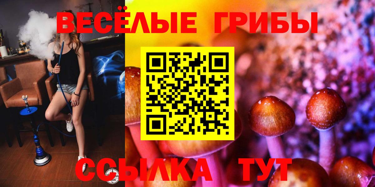 Галлюциногенные грибы прущие грибы Мончегорск